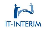 it-interim